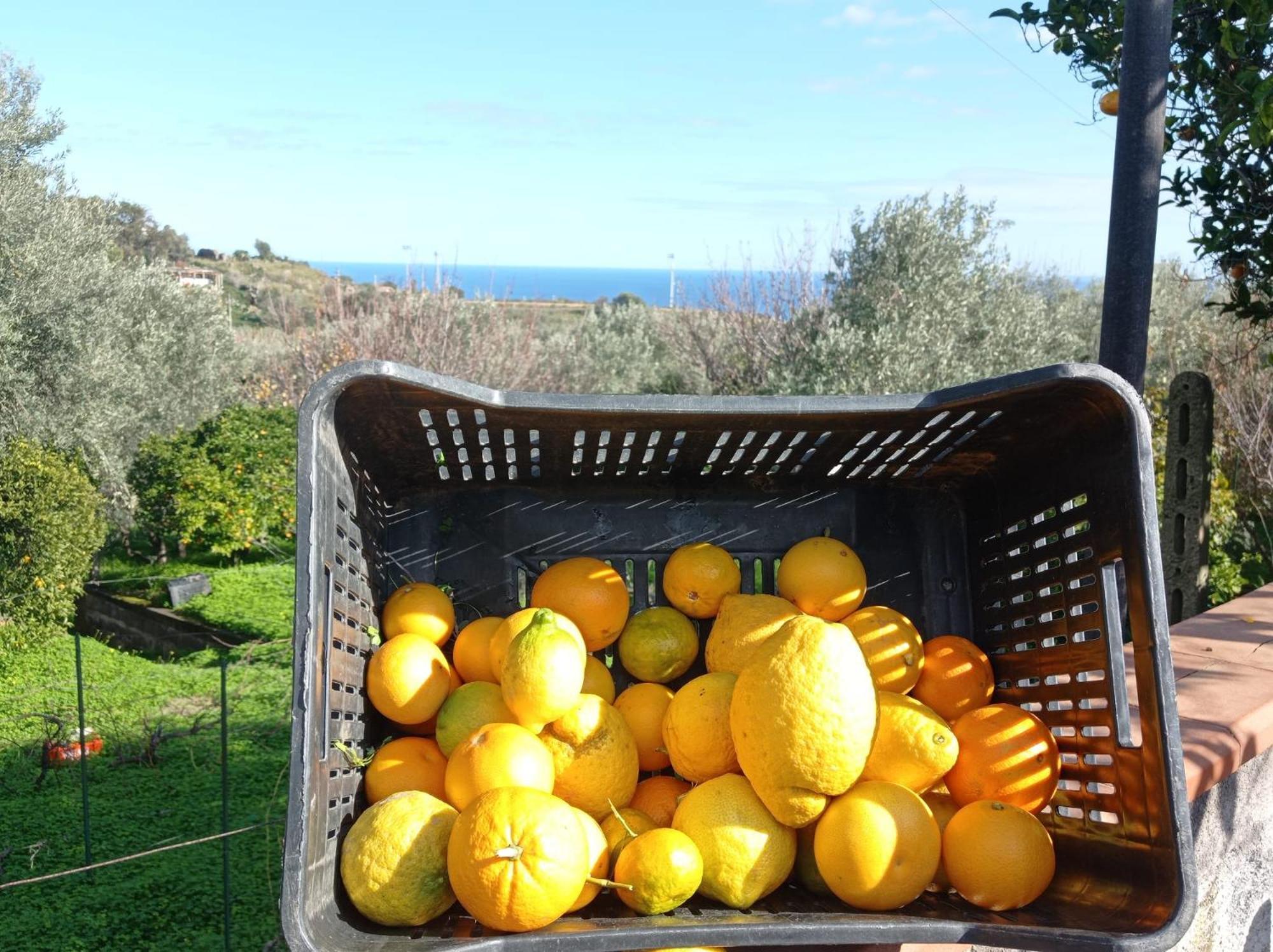 Ai Tre Desideri La Casita Villa Aci Castello Dış mekan fotoğraf