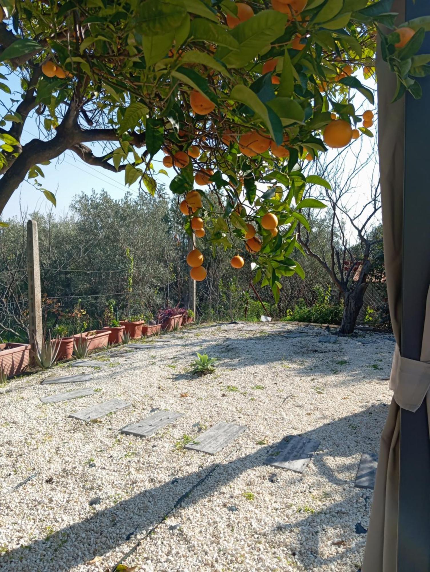 Ai Tre Desideri La Casita Villa Aci Castello Dış mekan fotoğraf